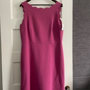 LOFT Pink Scalloped Summer Dress, Size 14, NWT